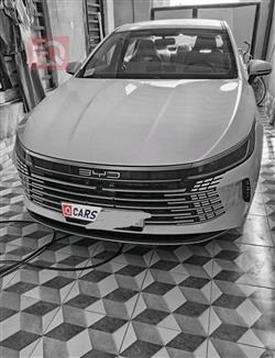 بي واي دي ديستروير 05